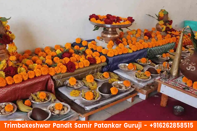 Pandit Samir Patankar Guruji performing Kaal Sarp Dosh Puja