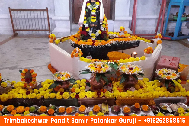 Pandit Samir Patankar Guruji performing Kaal Sarp Dosh Puja